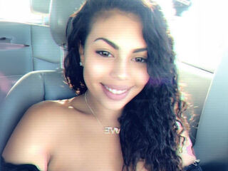 webcampic BusyBusyBee